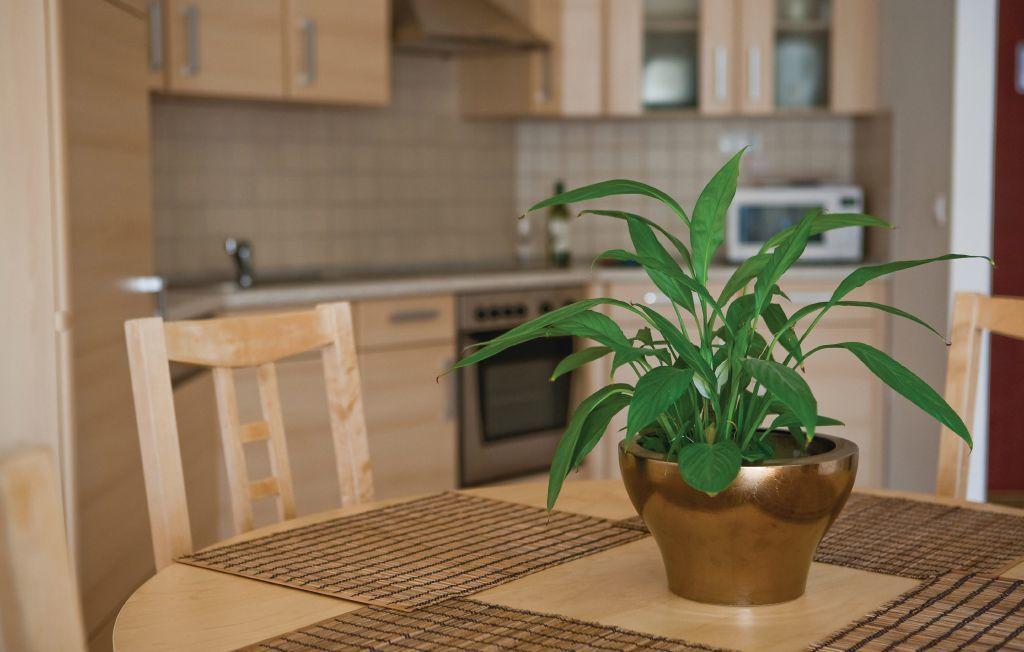 בודפשט Bpm-Apartment Kiraly חדר תמונה